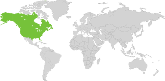 Clave de larga distancia a EUA y Canadá en tu Plan Mensual