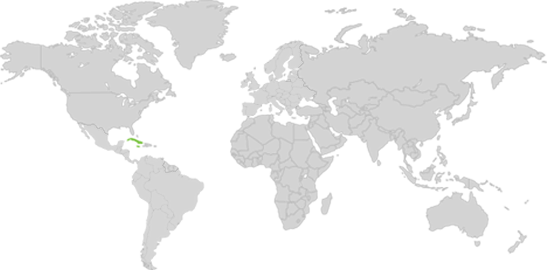 Llamada larga distancia a Países Premium